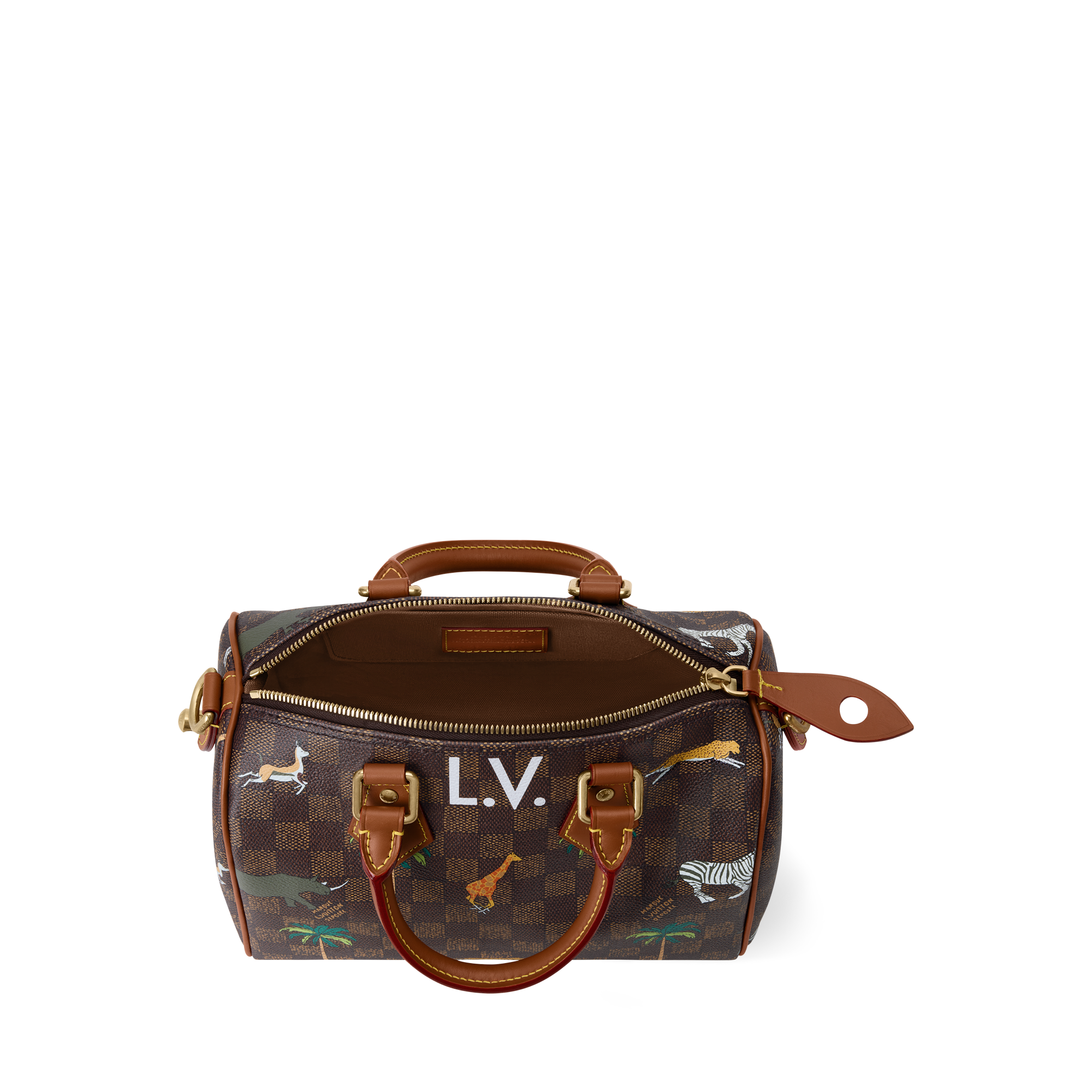 Bolsa Speedy 25 Bandoulière x The Darjeeling Limited Outros Damier